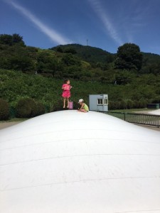 IMG_3972